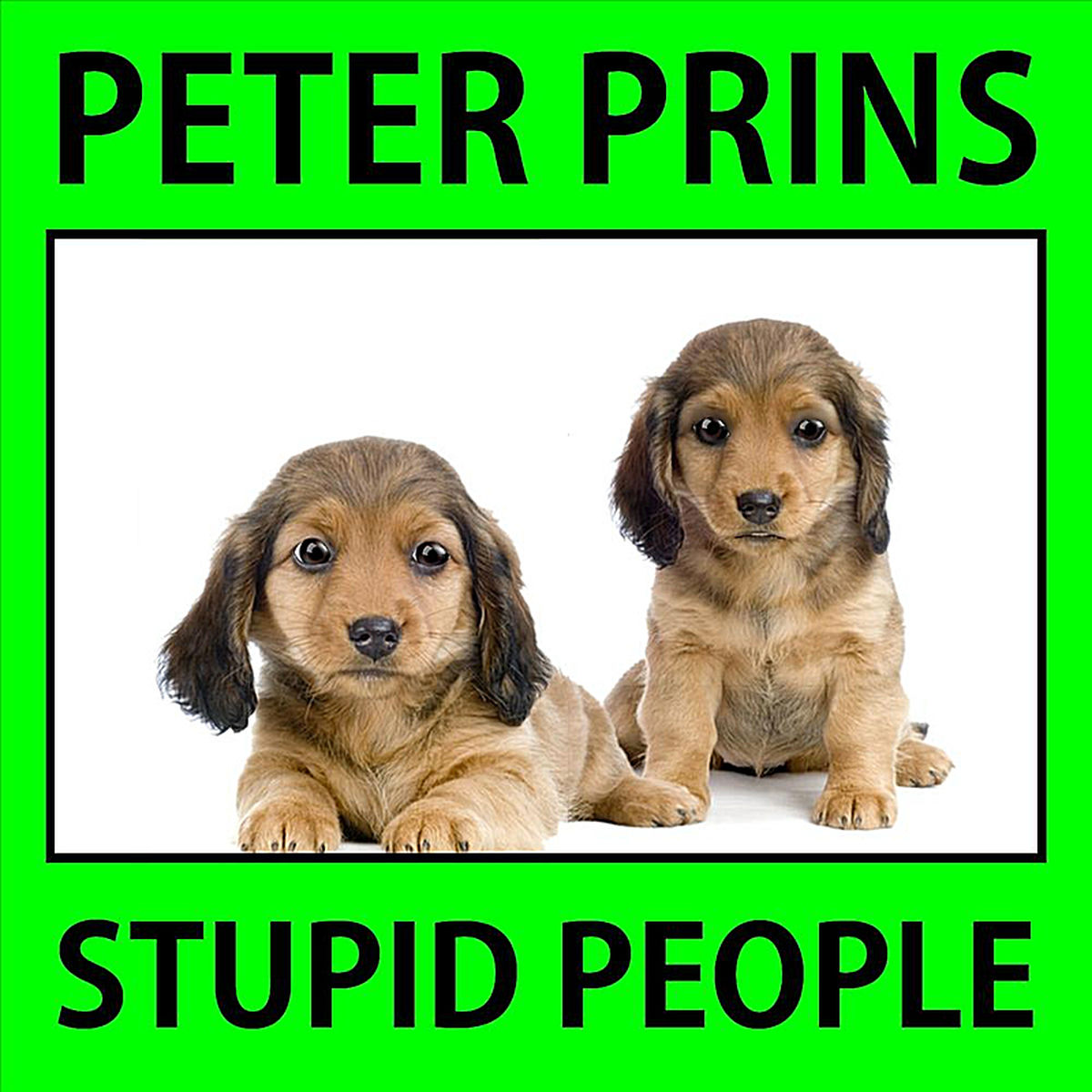 Album cover of Stupid People