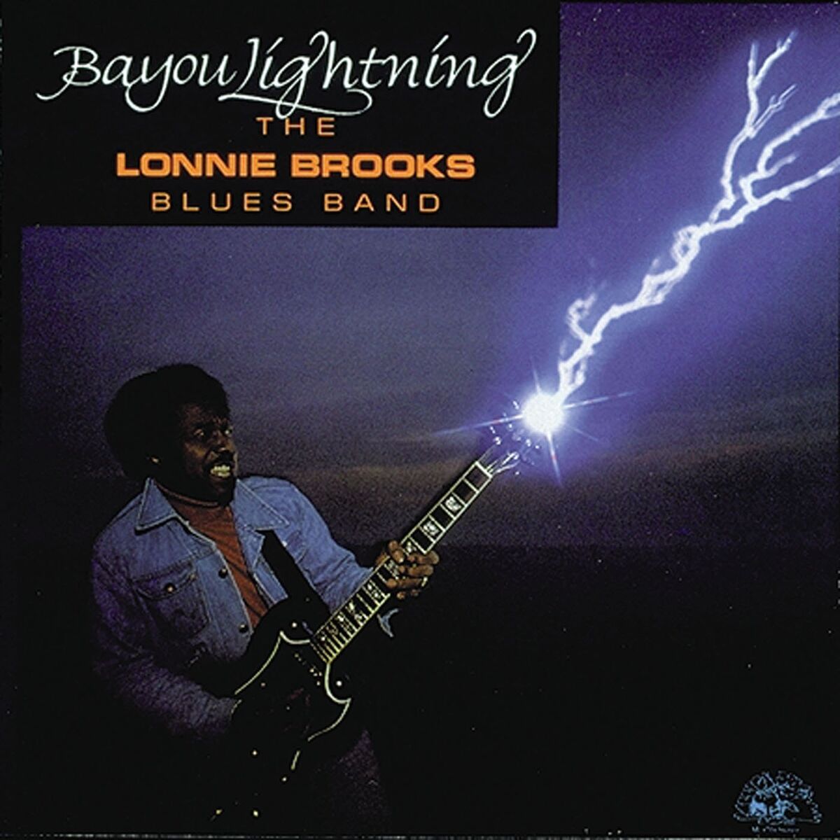 Album cover of In The Dark