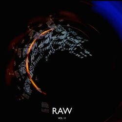 Cover of Raw, Vol. 2