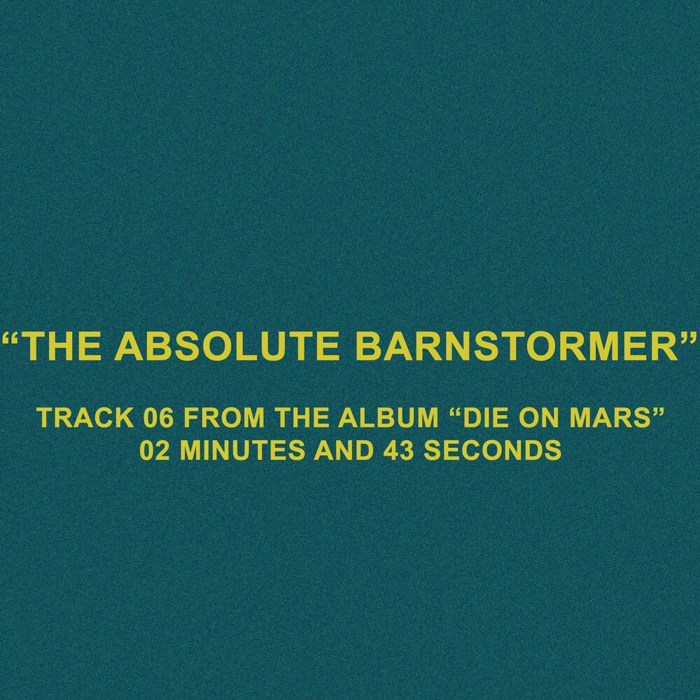 Picture of The Absolute Barnstormer