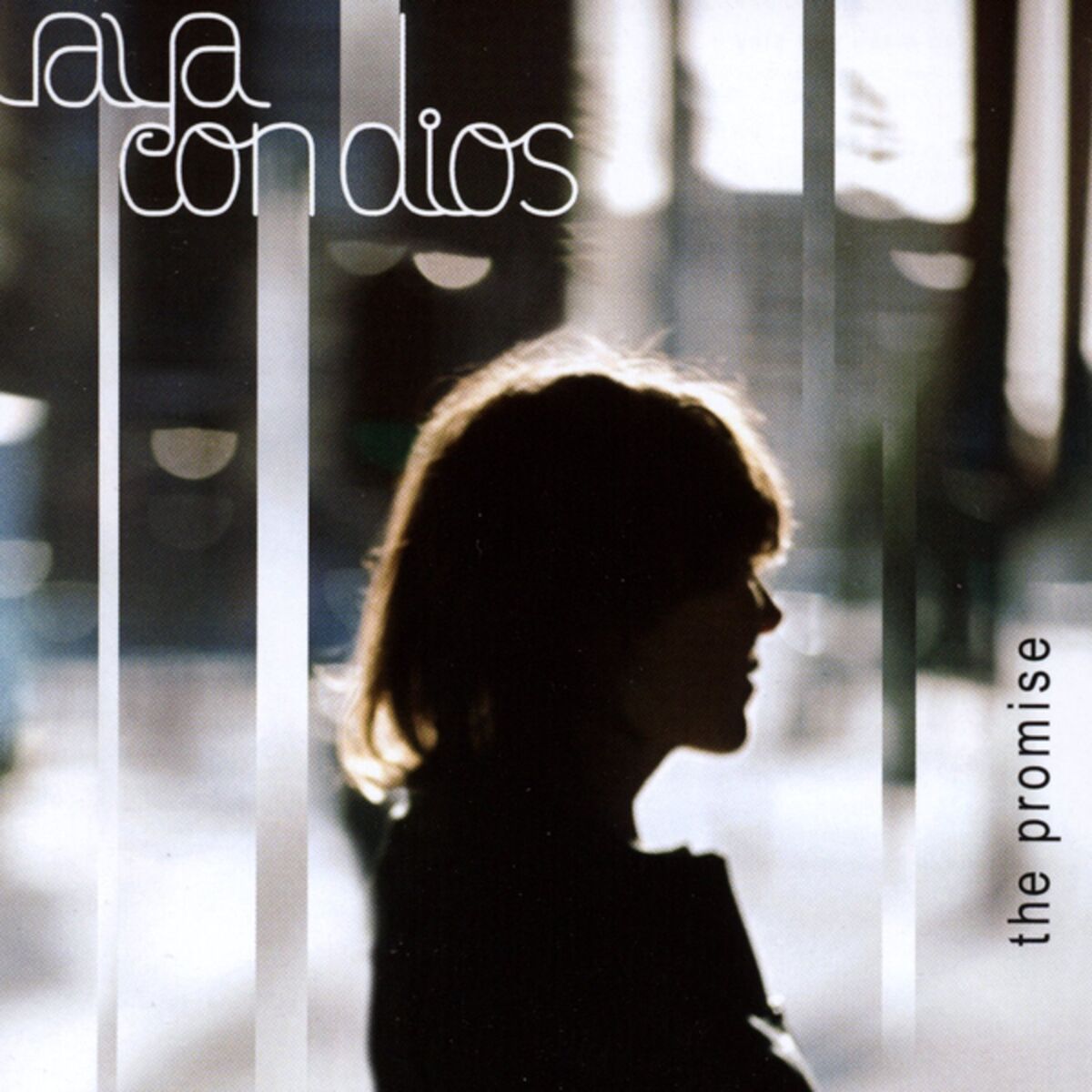 Album cover of The Promise
