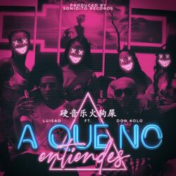 Cover of A Que No Entiendes