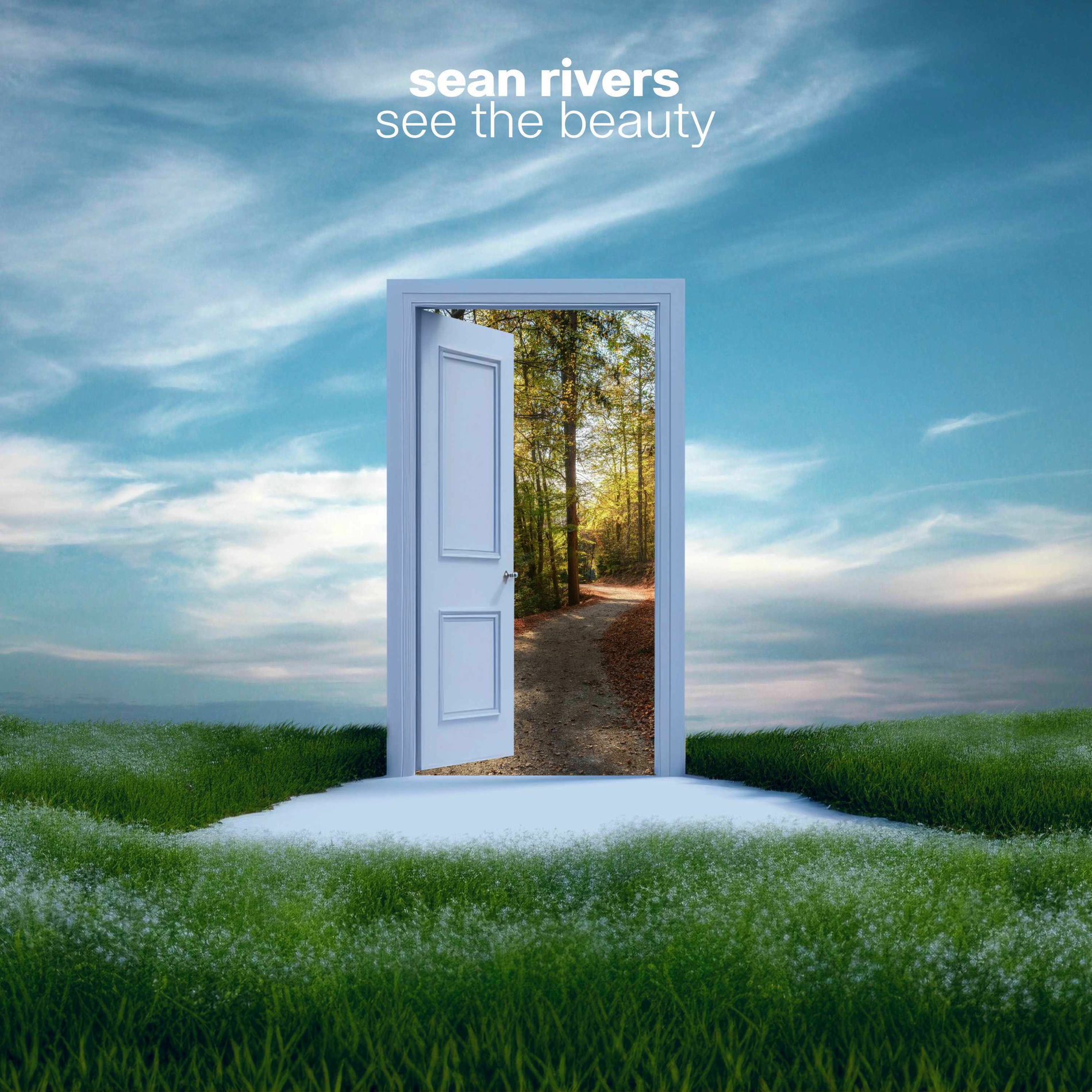Album cover of See the Beauty