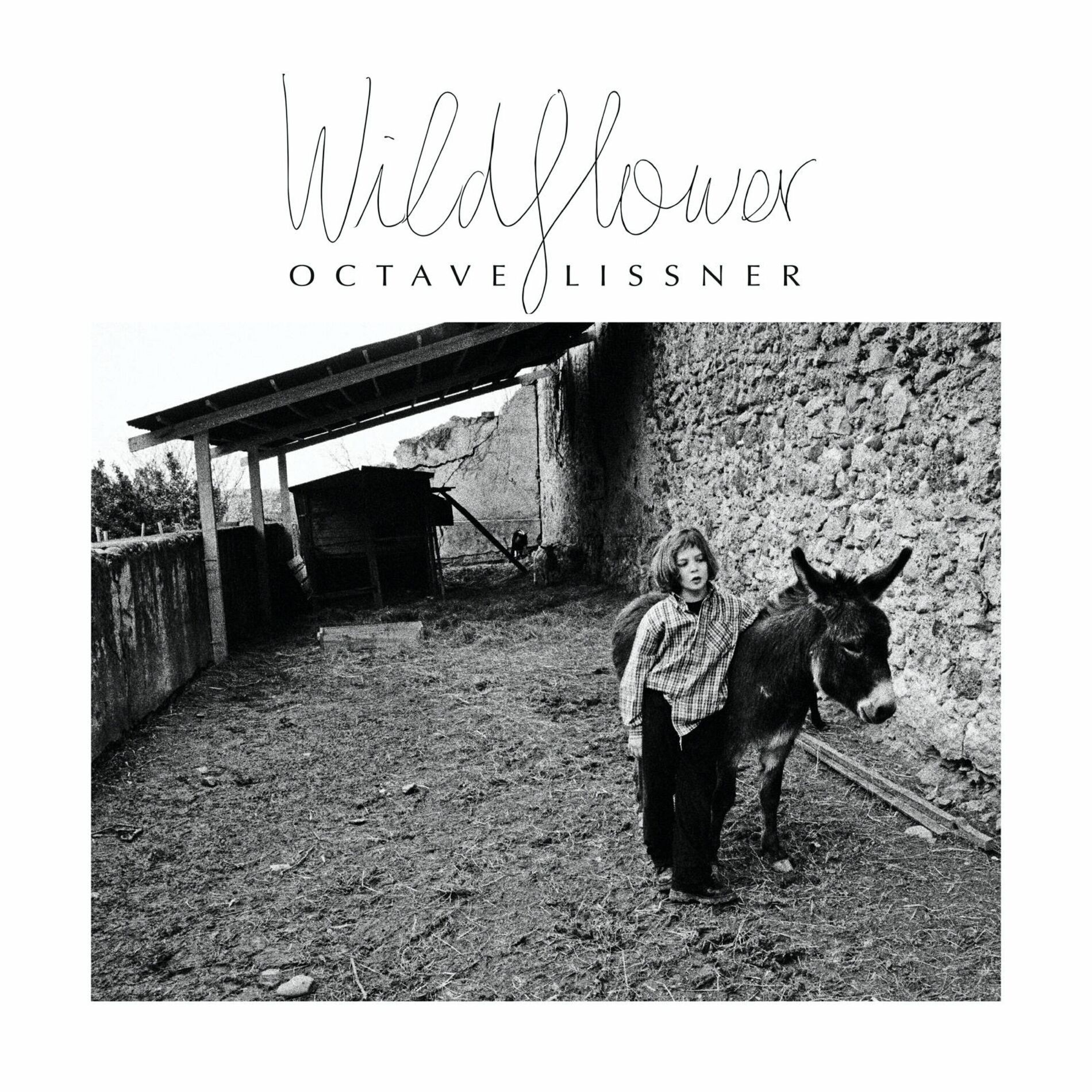 Album cover of Wildflower