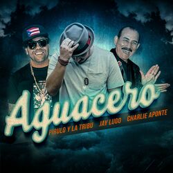 Cover of Aguacero