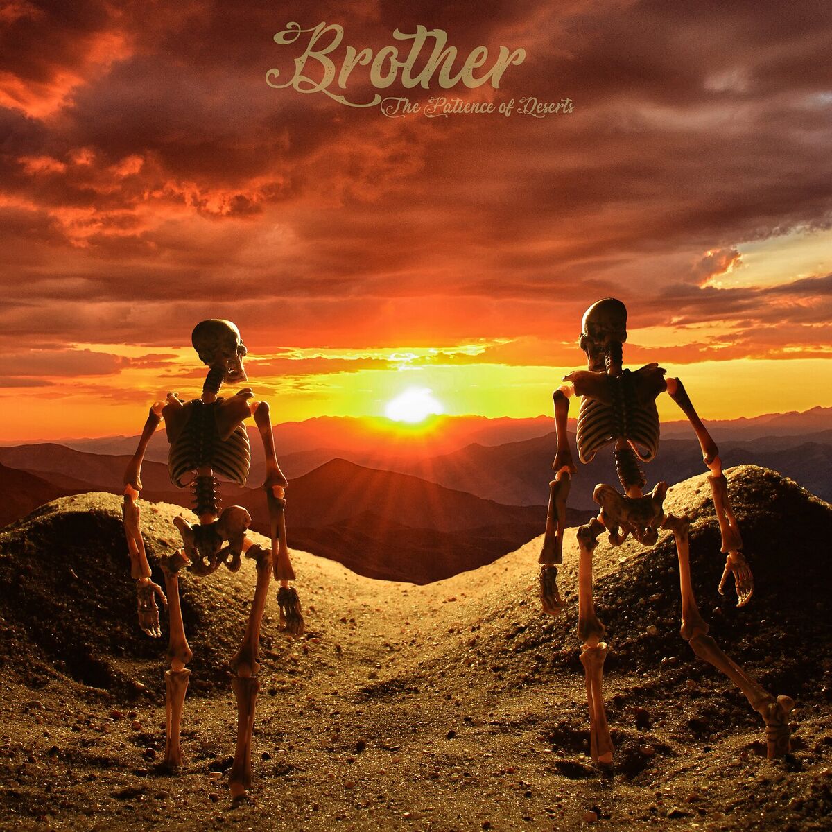Album cover of The Patience of Deserts