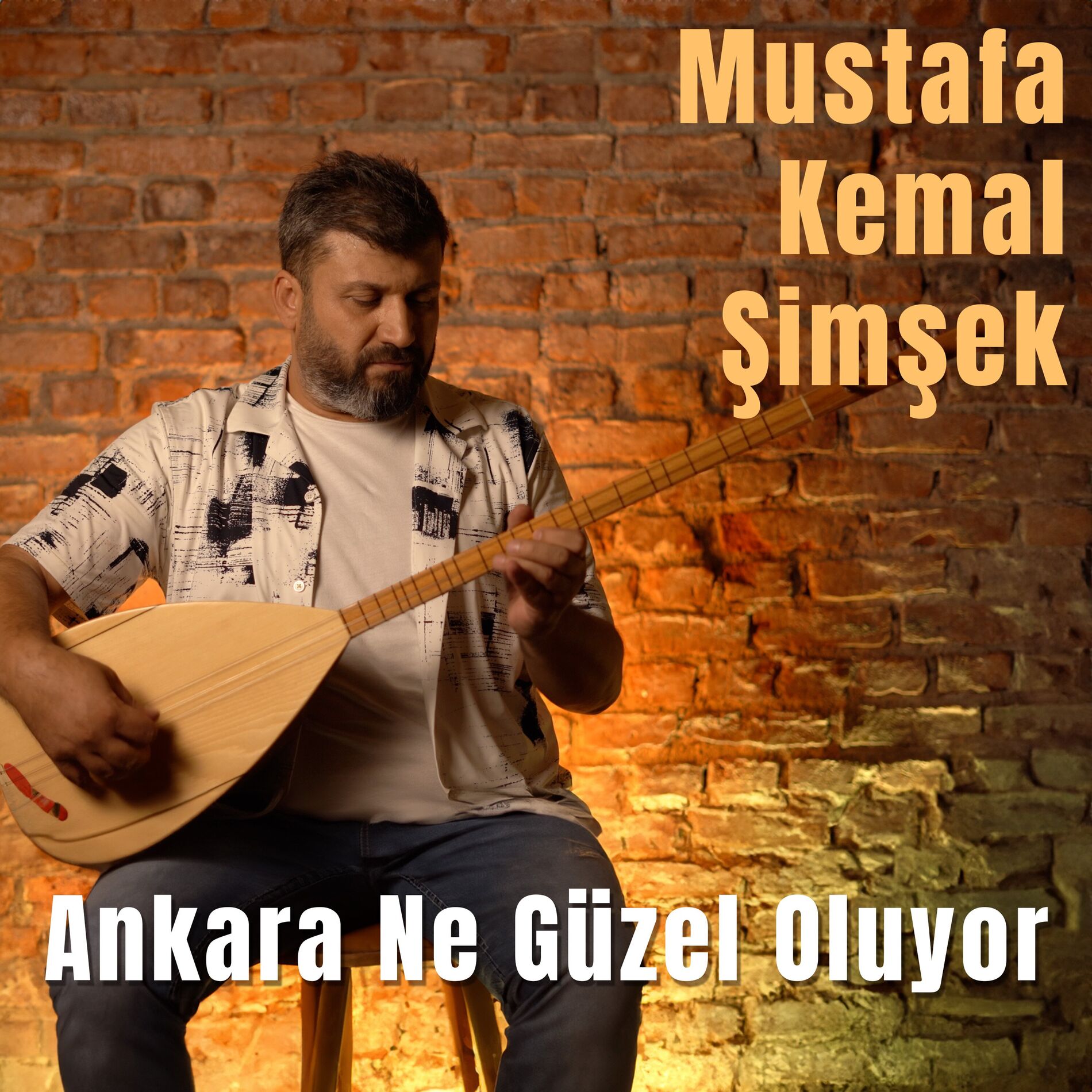Album cover of Ankara Ne Güzel Oluyor