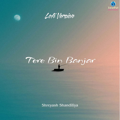 Tere Bin Banjar (Lofi Version)