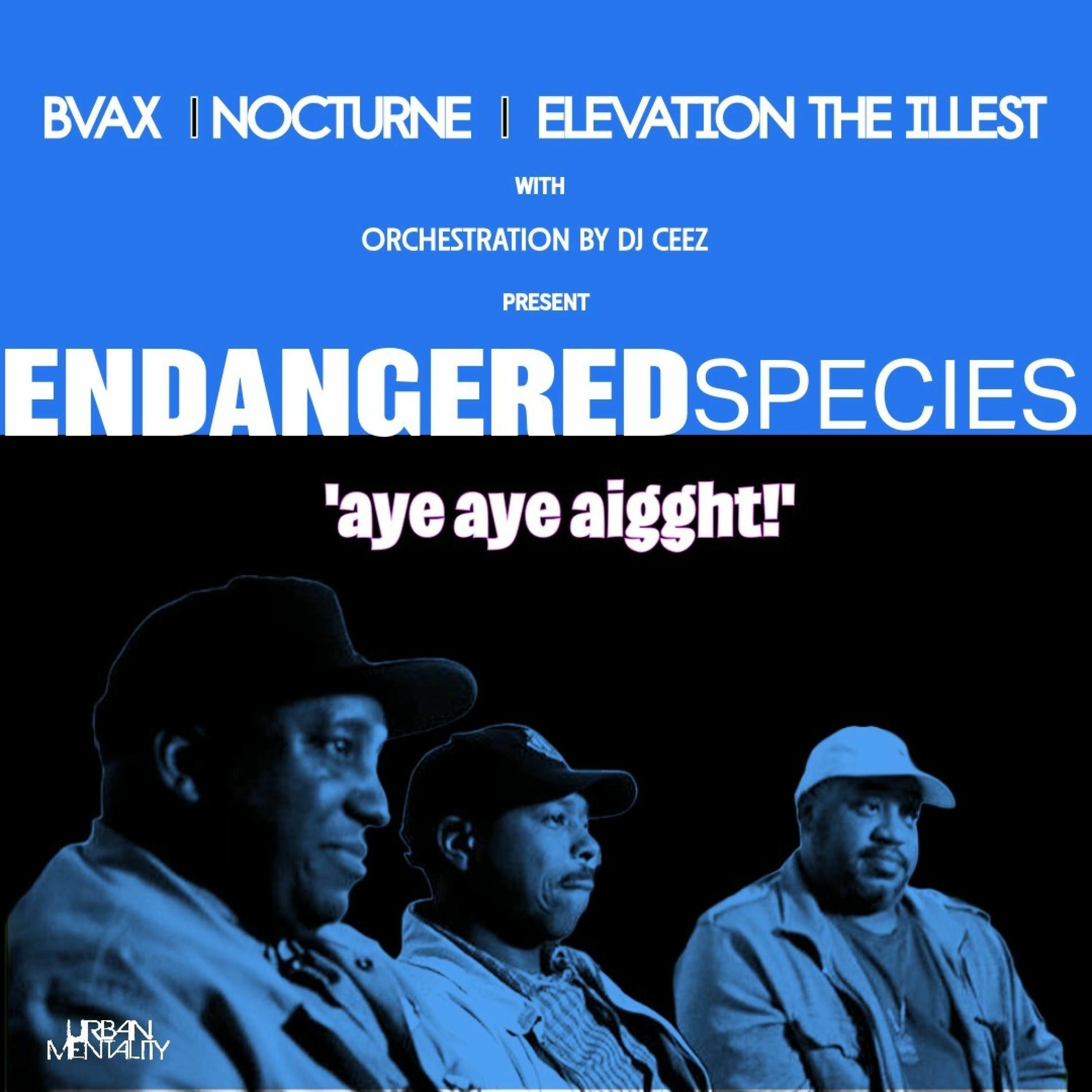 Album cover of Aye Aye Aigght (feat. BVAX, Elevation & Nocturne)
