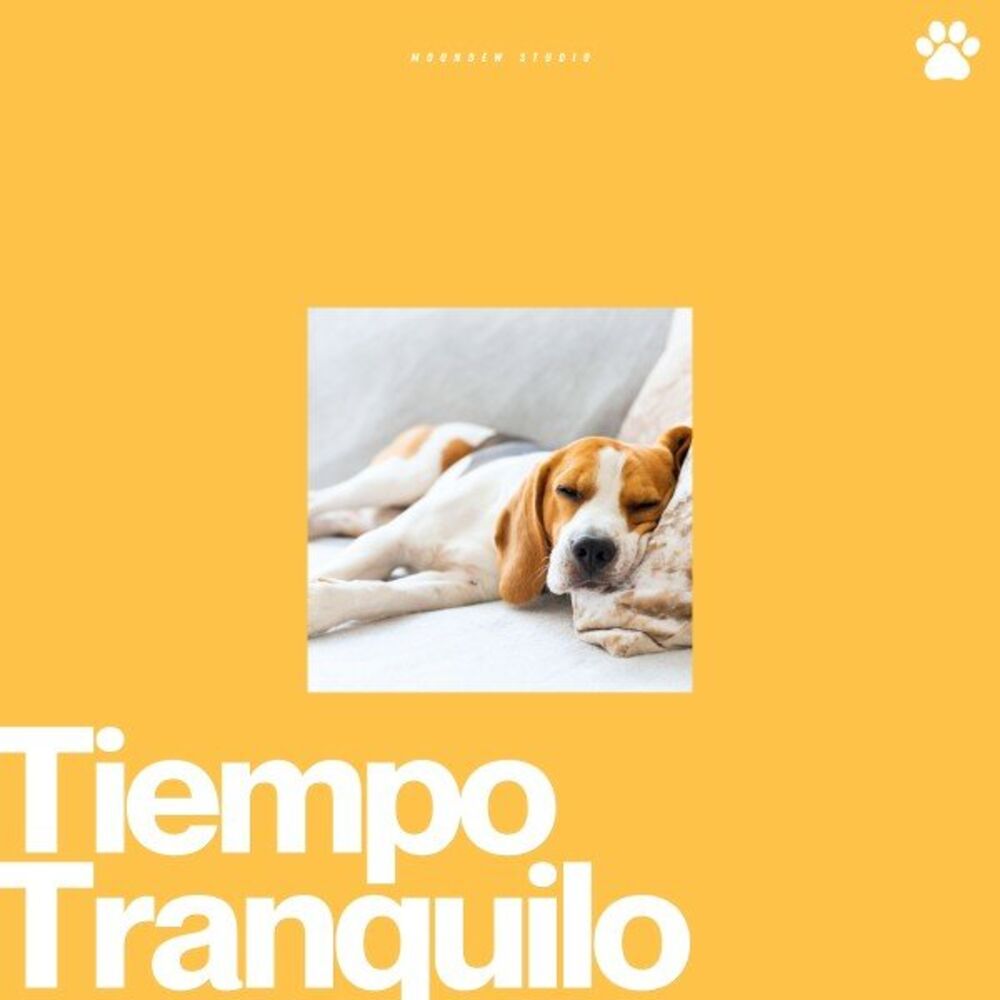 Picture of Tiempo Tranquilo