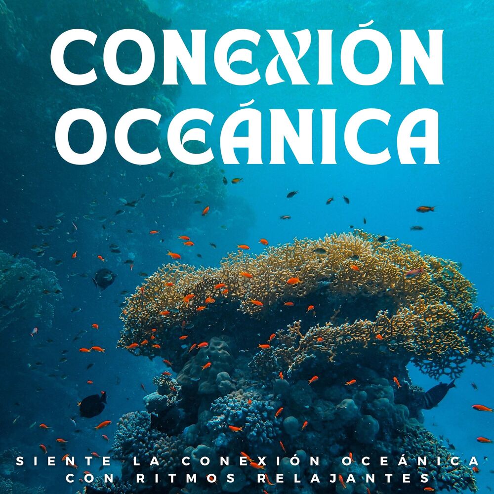 Picture of Siente La Conexión Oceánica Con Ritmos Relajantes