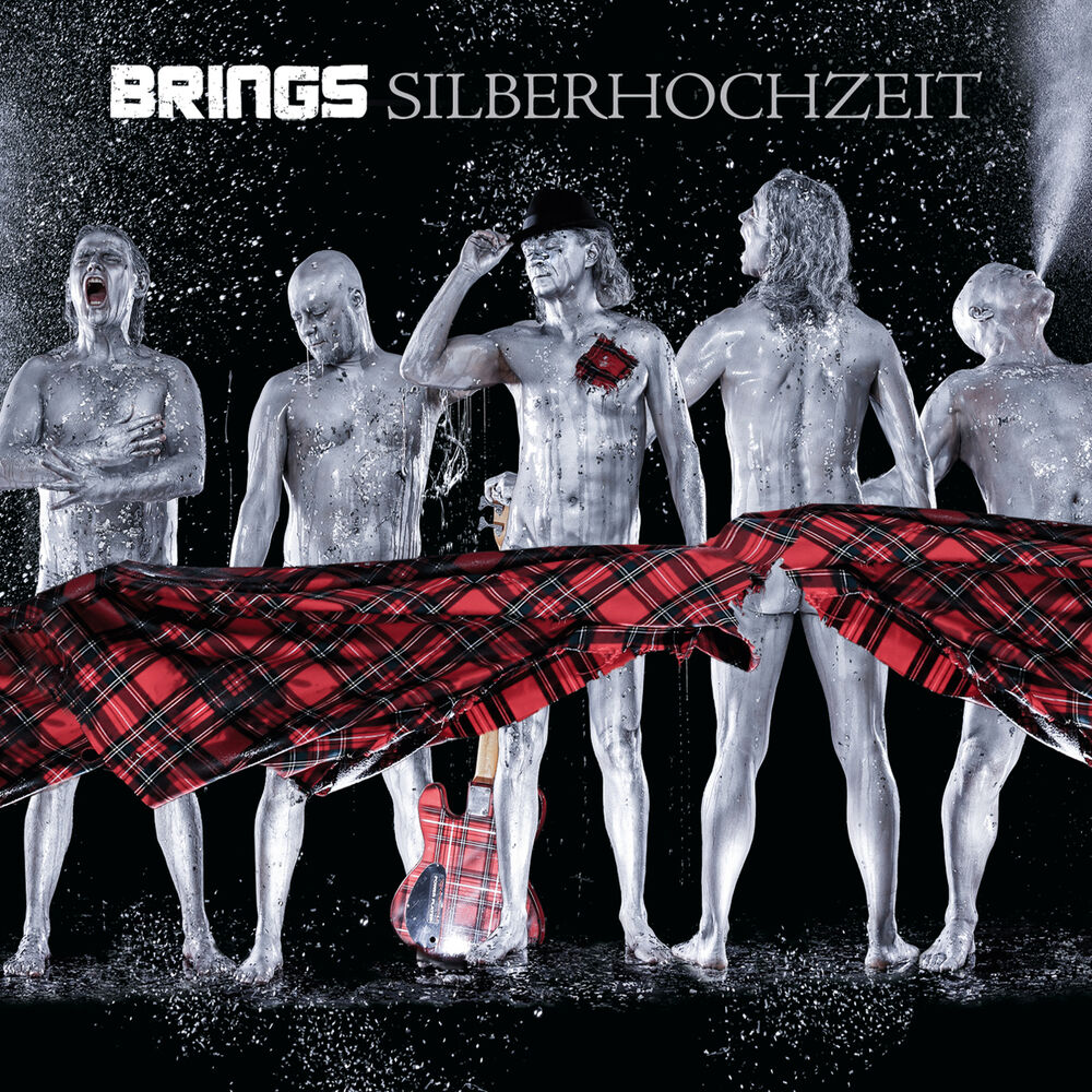 Picture of Silberhochzeit (Best Of)