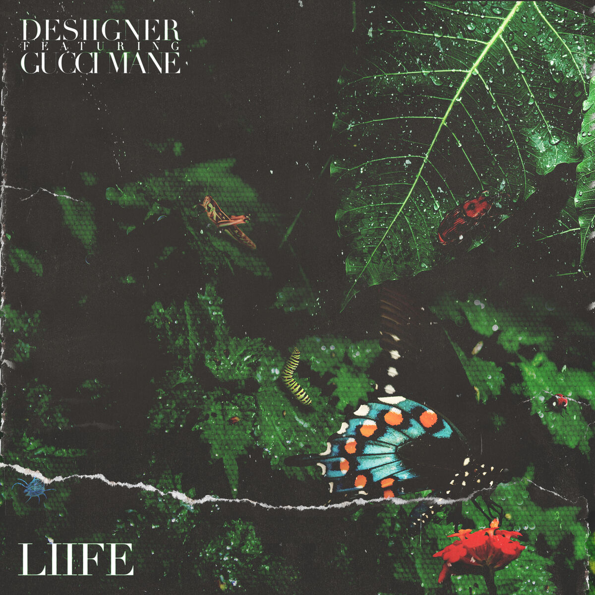 Album cover of Liife