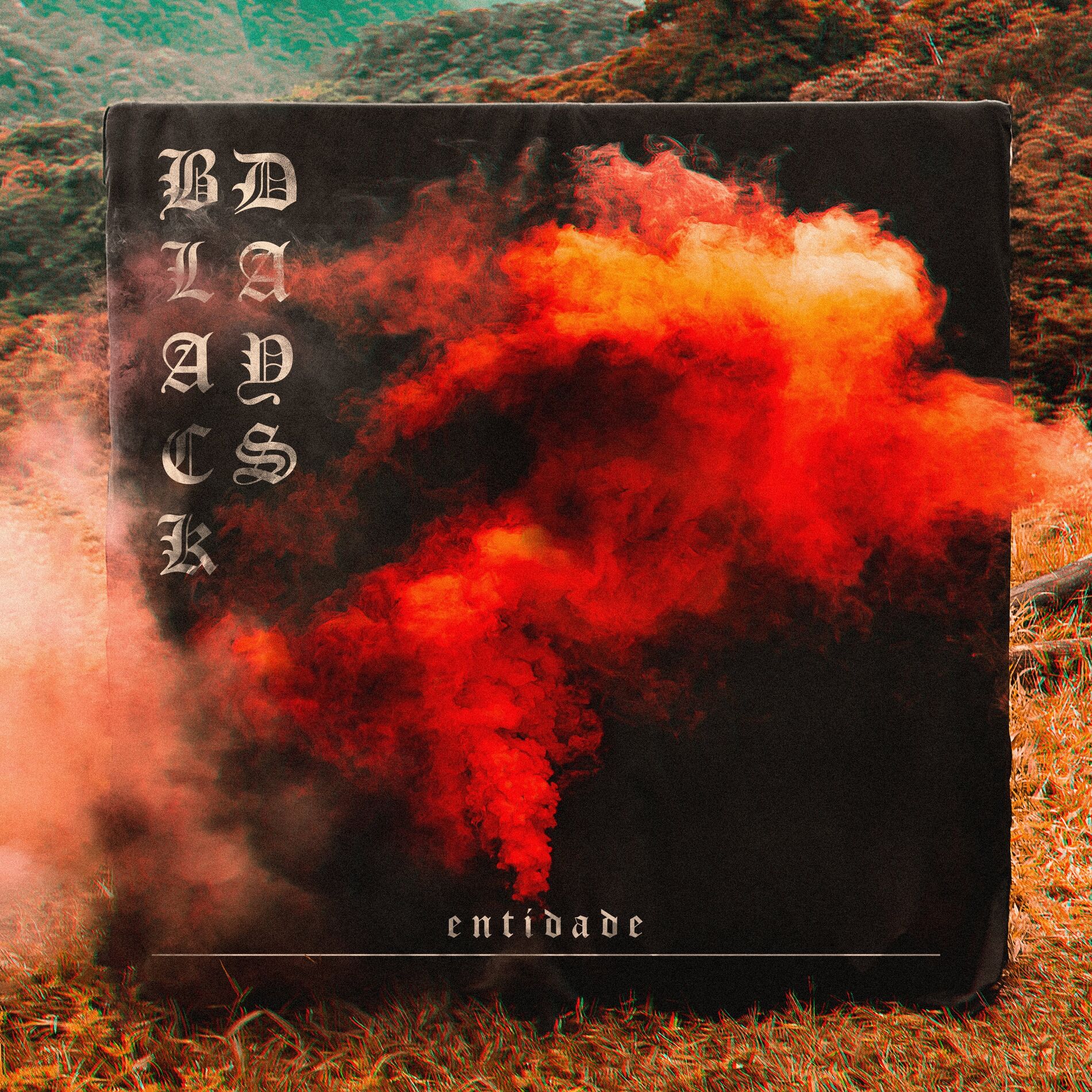 Album cover of Entidade