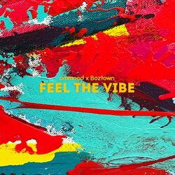 Feel The Vibe