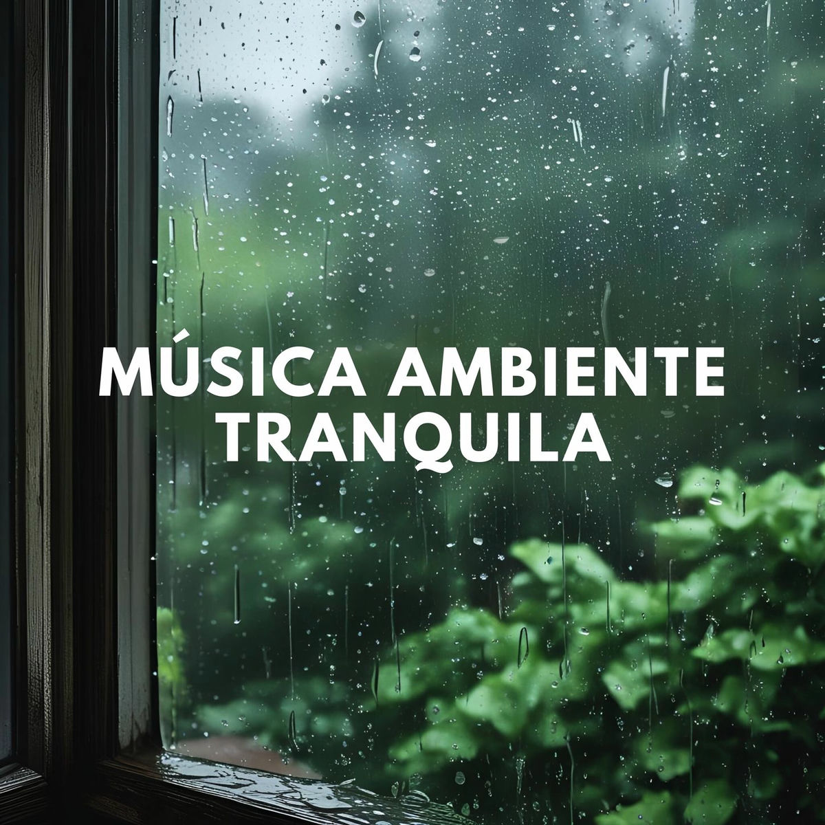 Album cover of Música Ambiente Tranquila