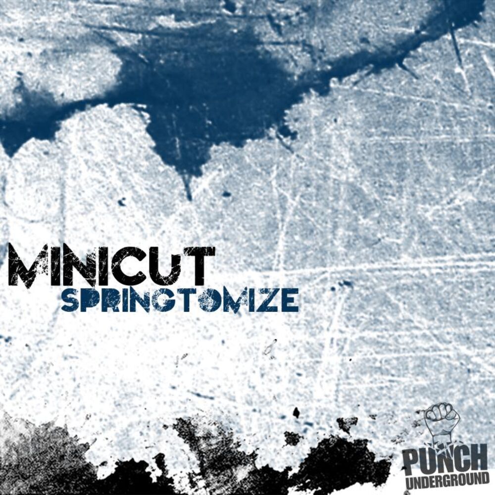 Picture of Springtomize