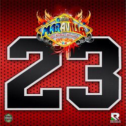 Cover of 23