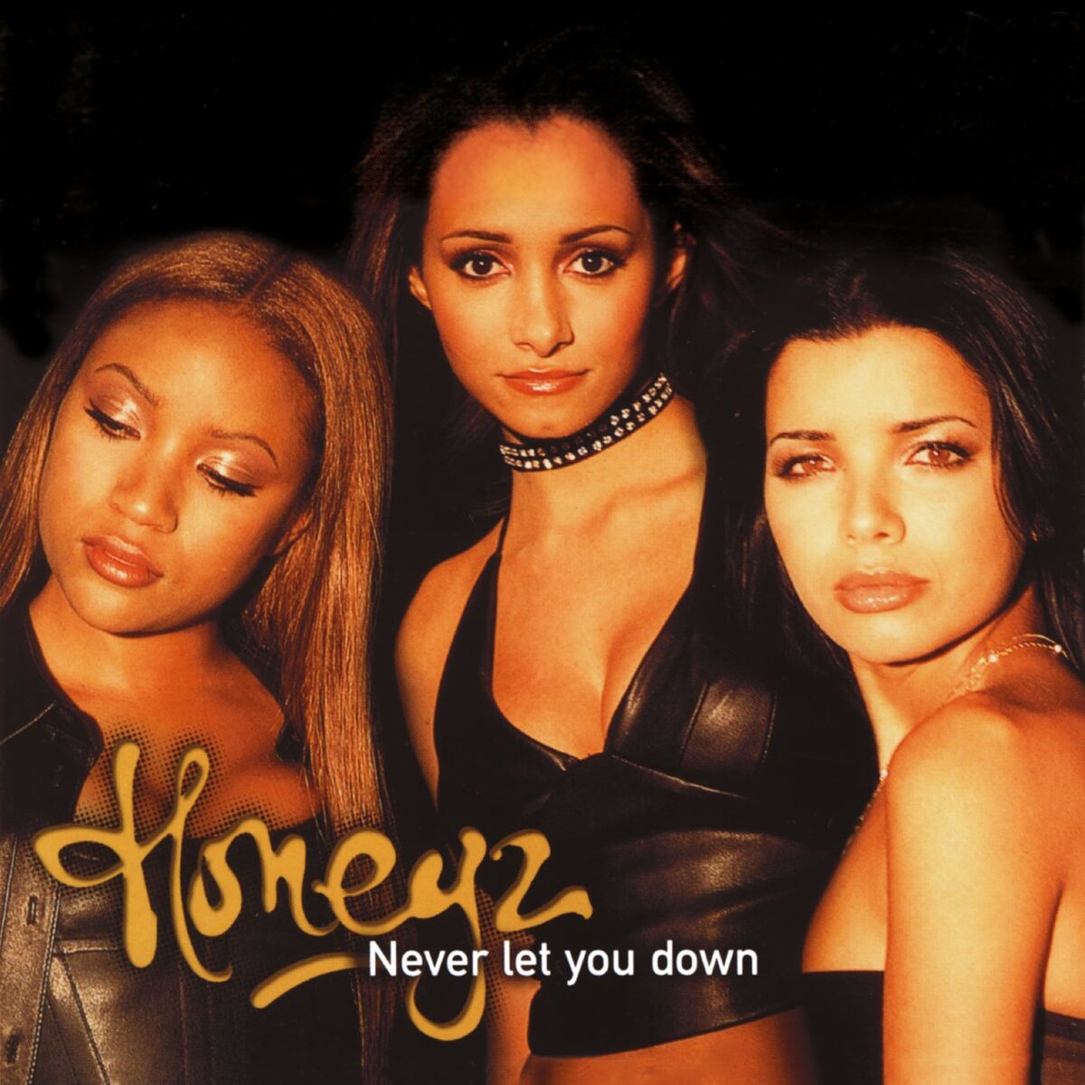 Album cover of Never Let You Down