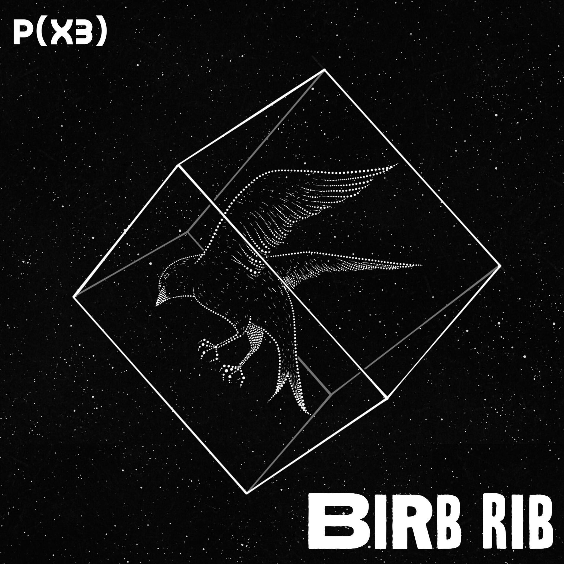Album picture of Birb Rib