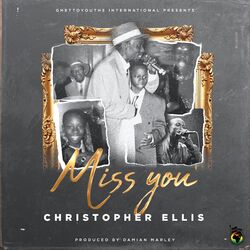 Cover of Miss You
