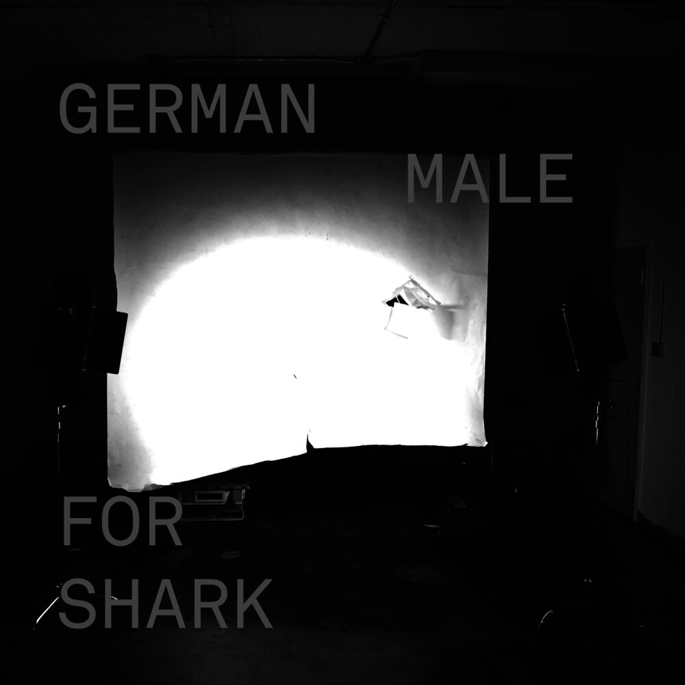 Picture of German For Shark