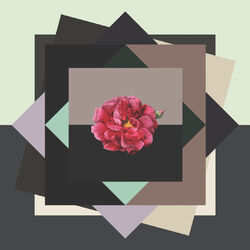 Cover of Molly Drake Songs