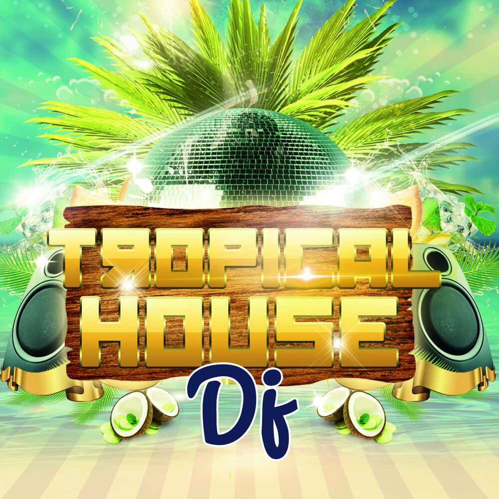 Picture of Tropical House DJ