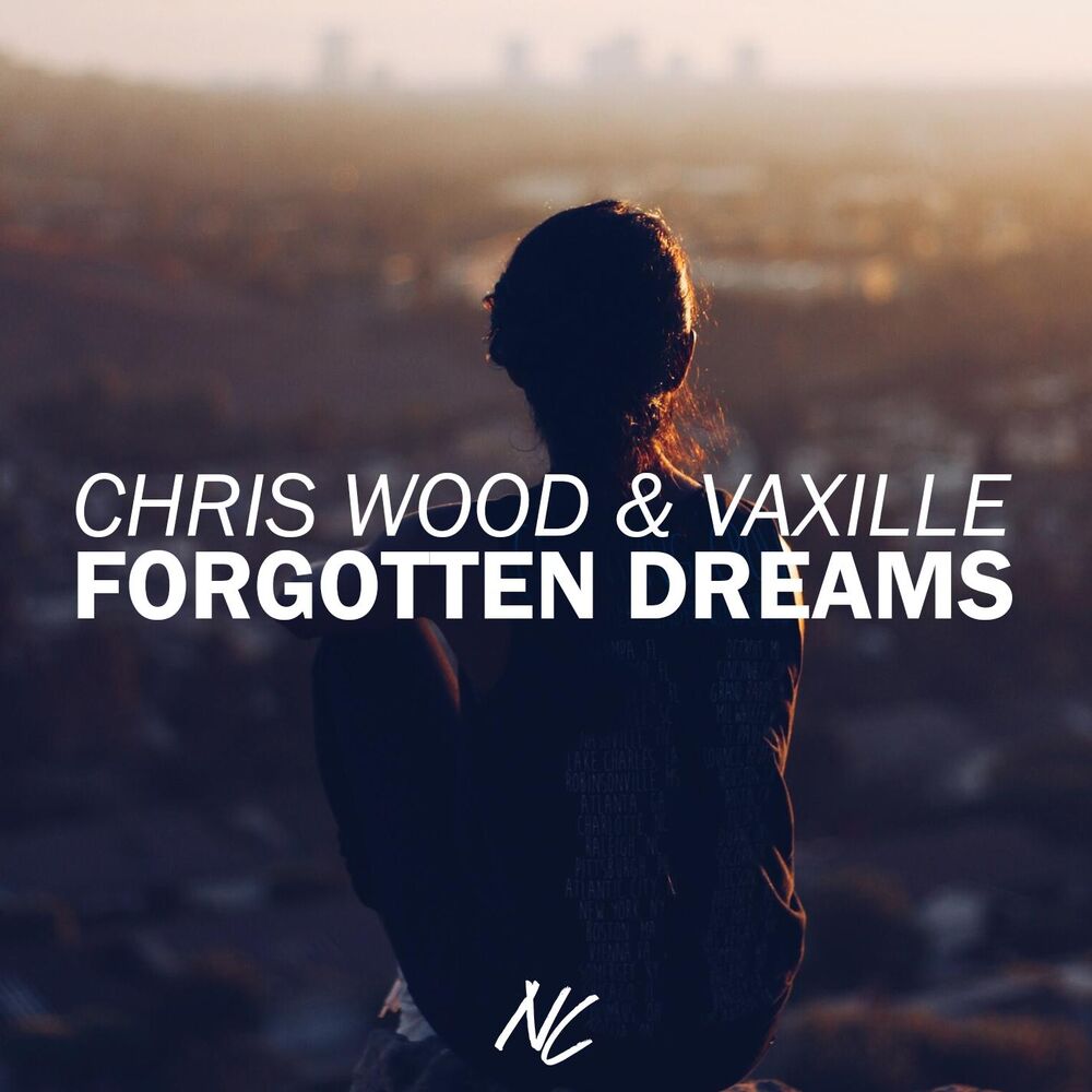 Picture of Forgotten Dreams