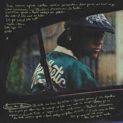 Cover of Água Na Boca