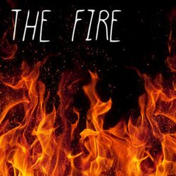 Cover of The Fire