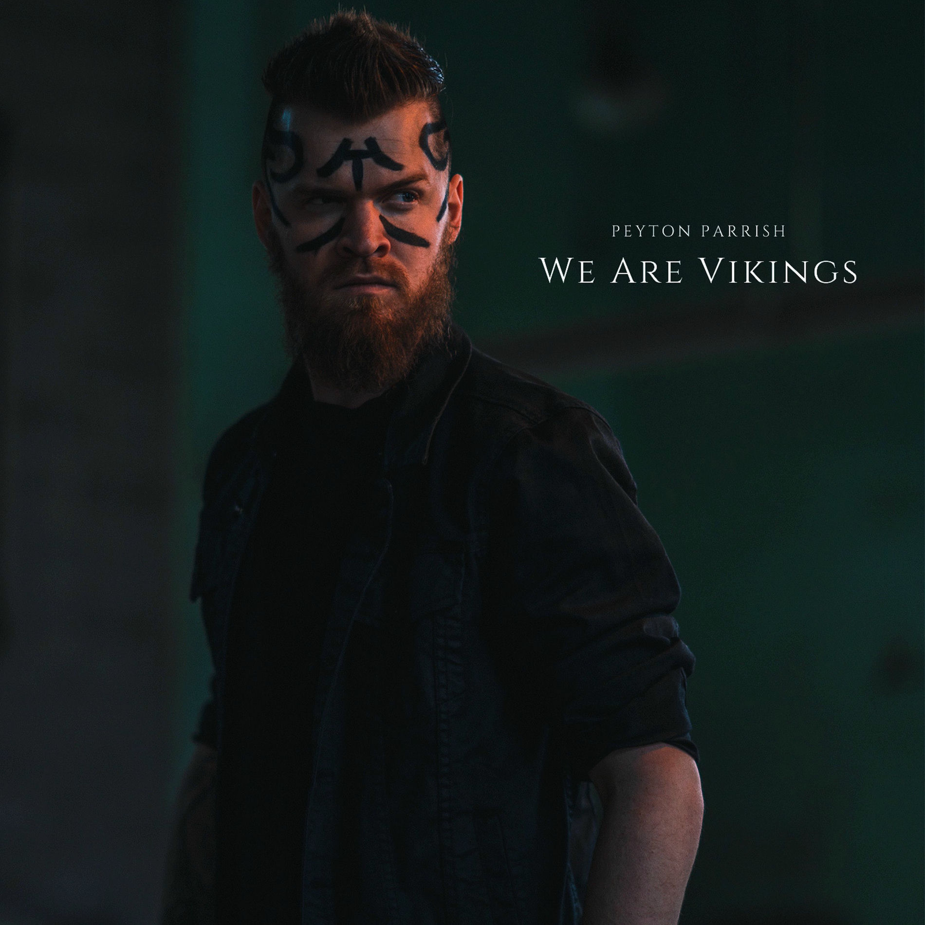 Album cover of We Are Vikings