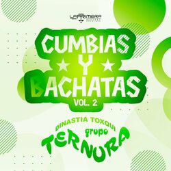Cover of Cumbias y Bachatas Vol.2