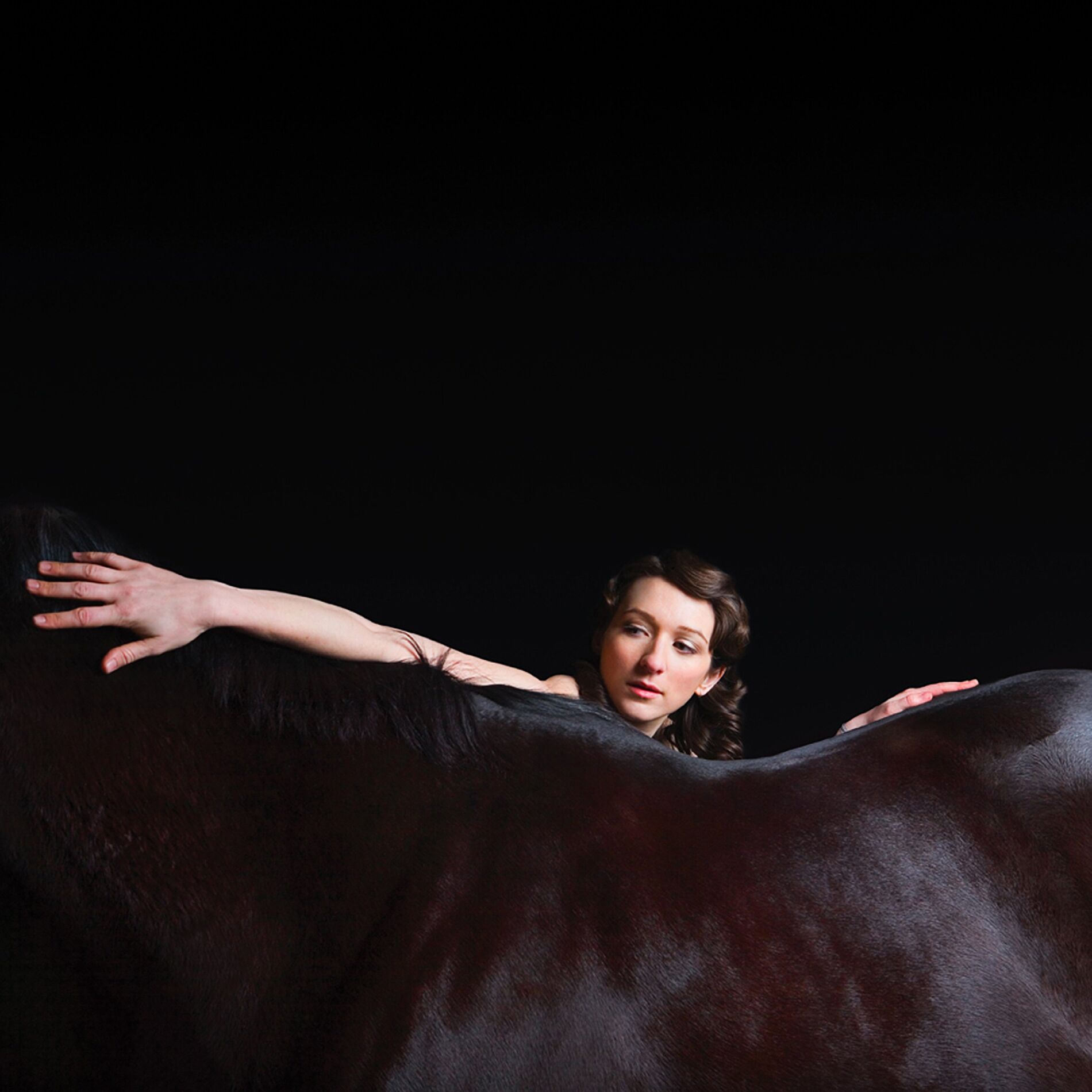 Album cover of Bring Me The Workhorse
