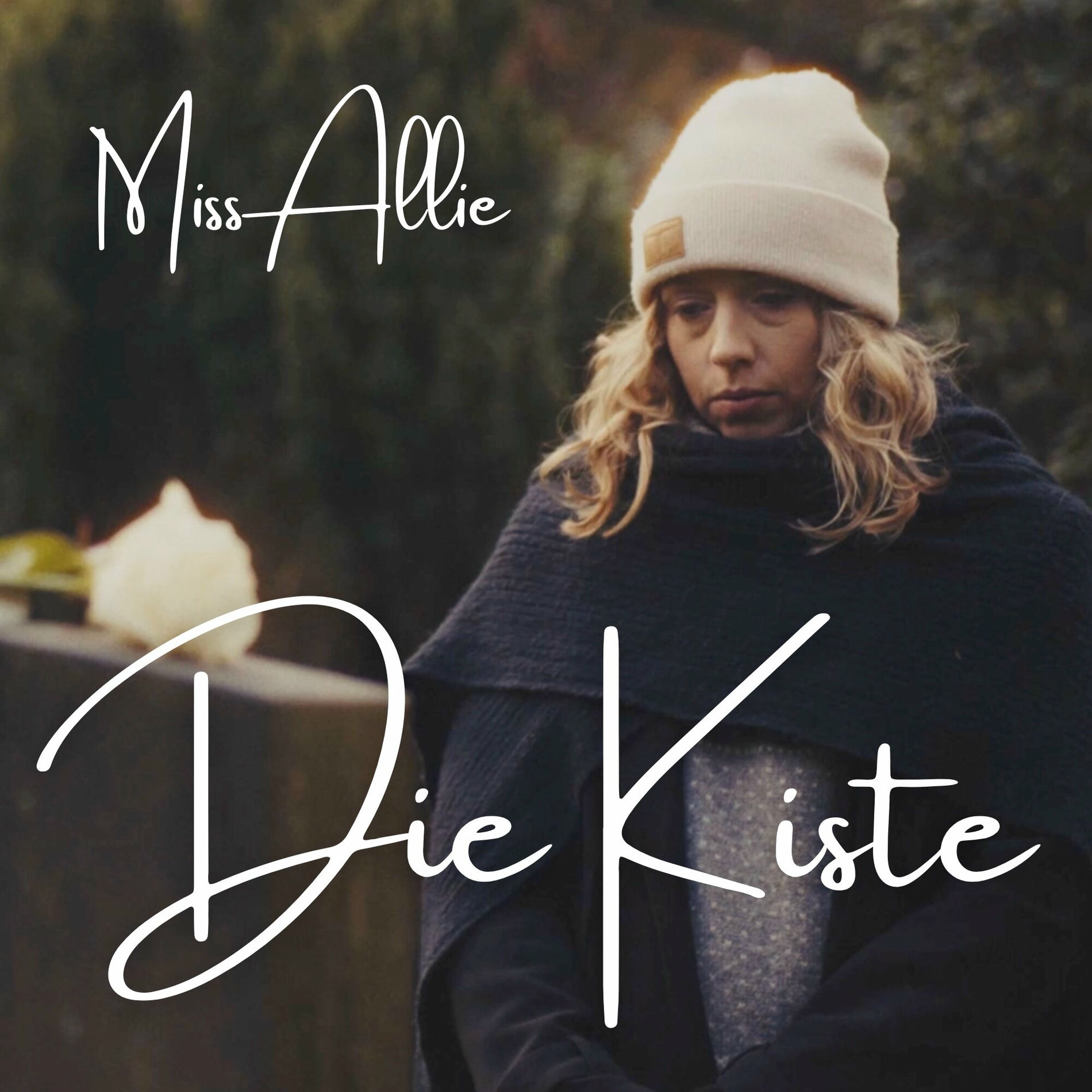 Album cover of Die Kiste