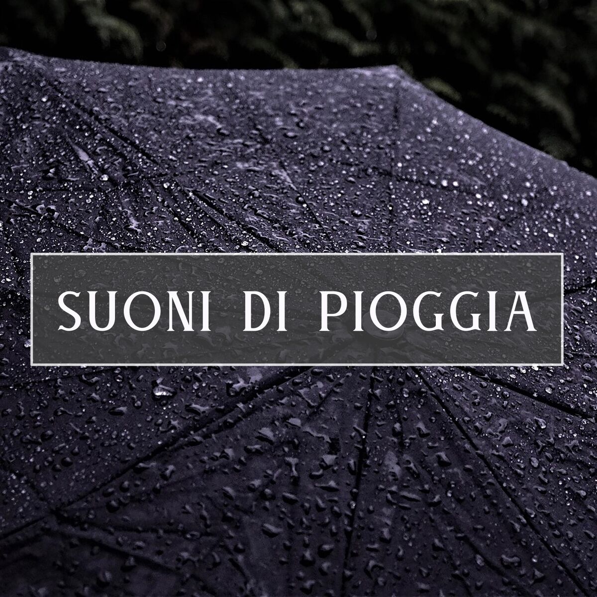 Album cover of Suoni di pioggia