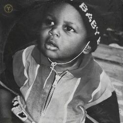 Cover of Aim for the Sun