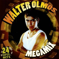 Cover of Megamix