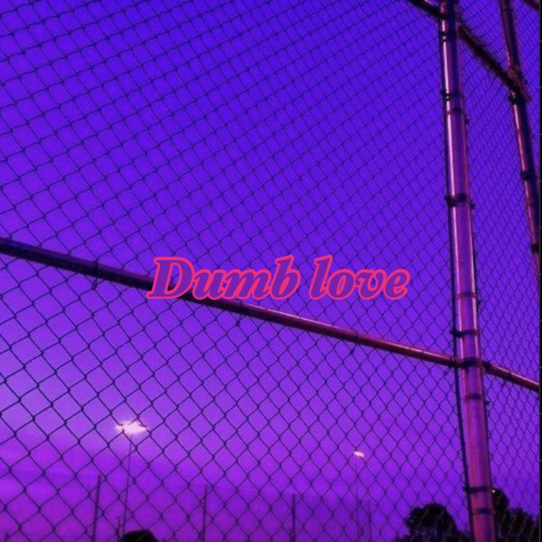 Album cover of Dumb Love