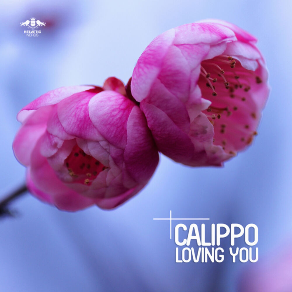 Picture of Loving You