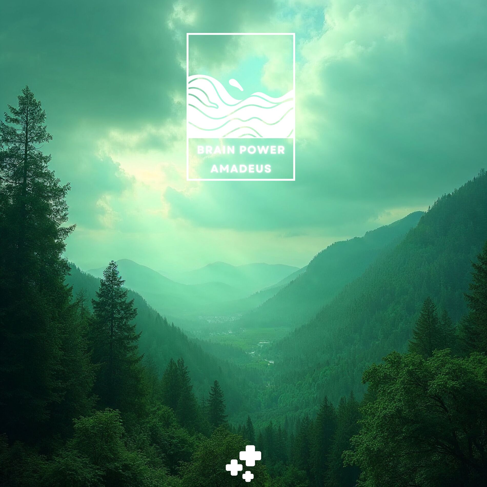 Album cover of Falling Leaves, Rising Spirits: Meditations in Motion