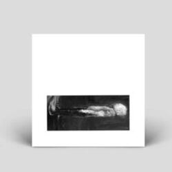 Cover of Natural State