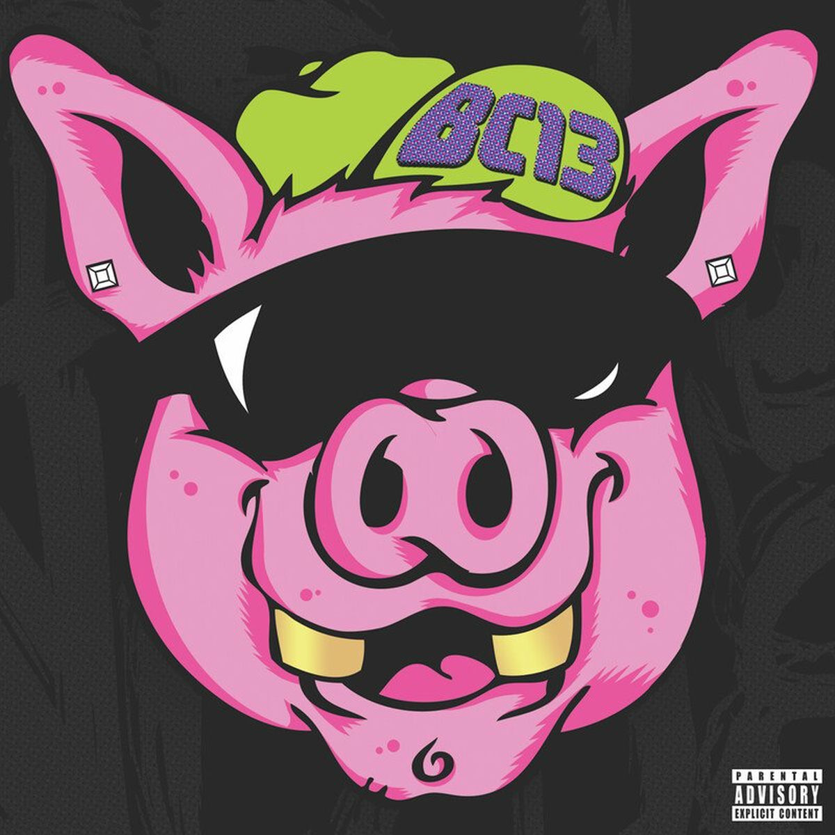 Album cover of The Best of BC13