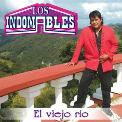 Cover of El Viejo Río