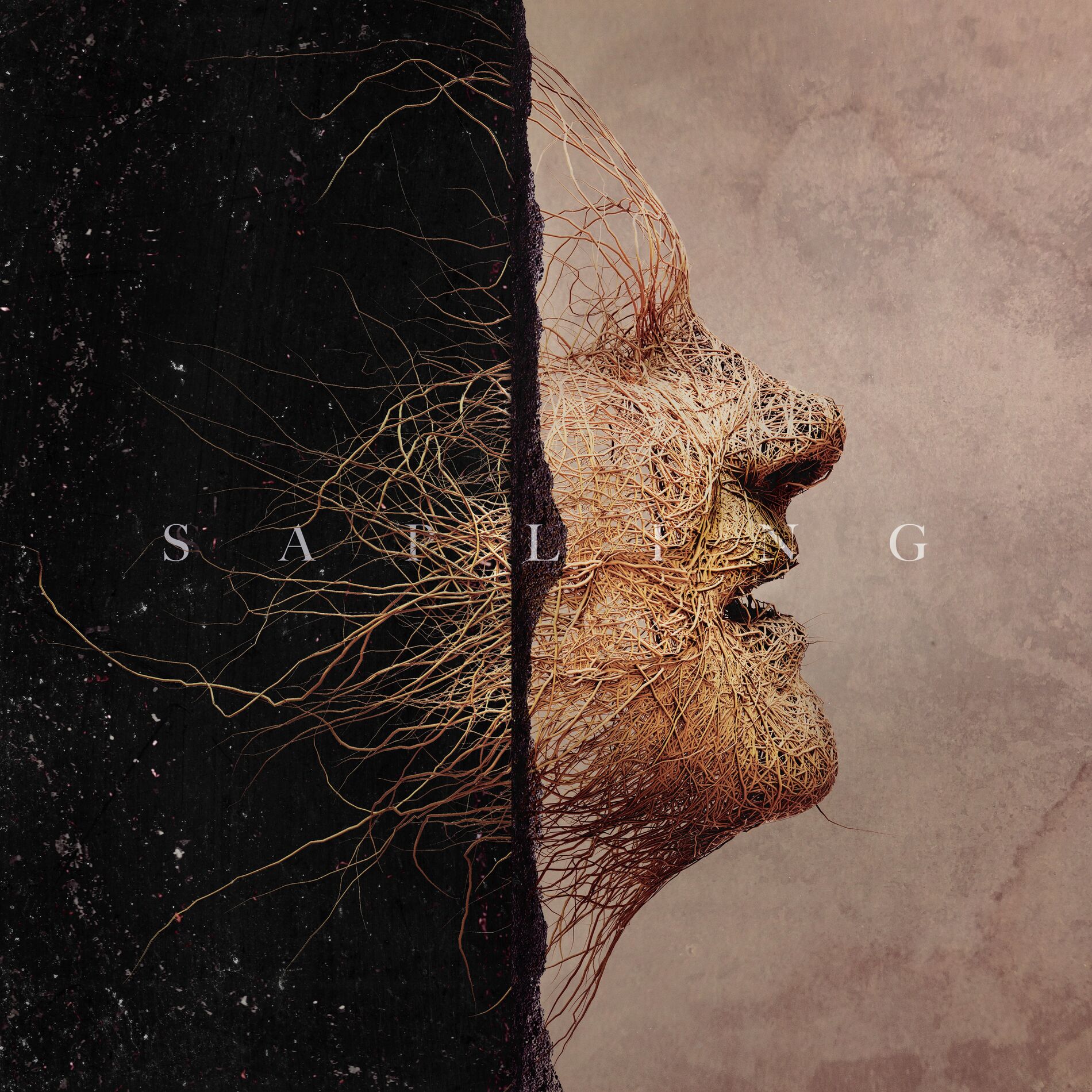 Album cover of Sapling (feat. Anderson East)