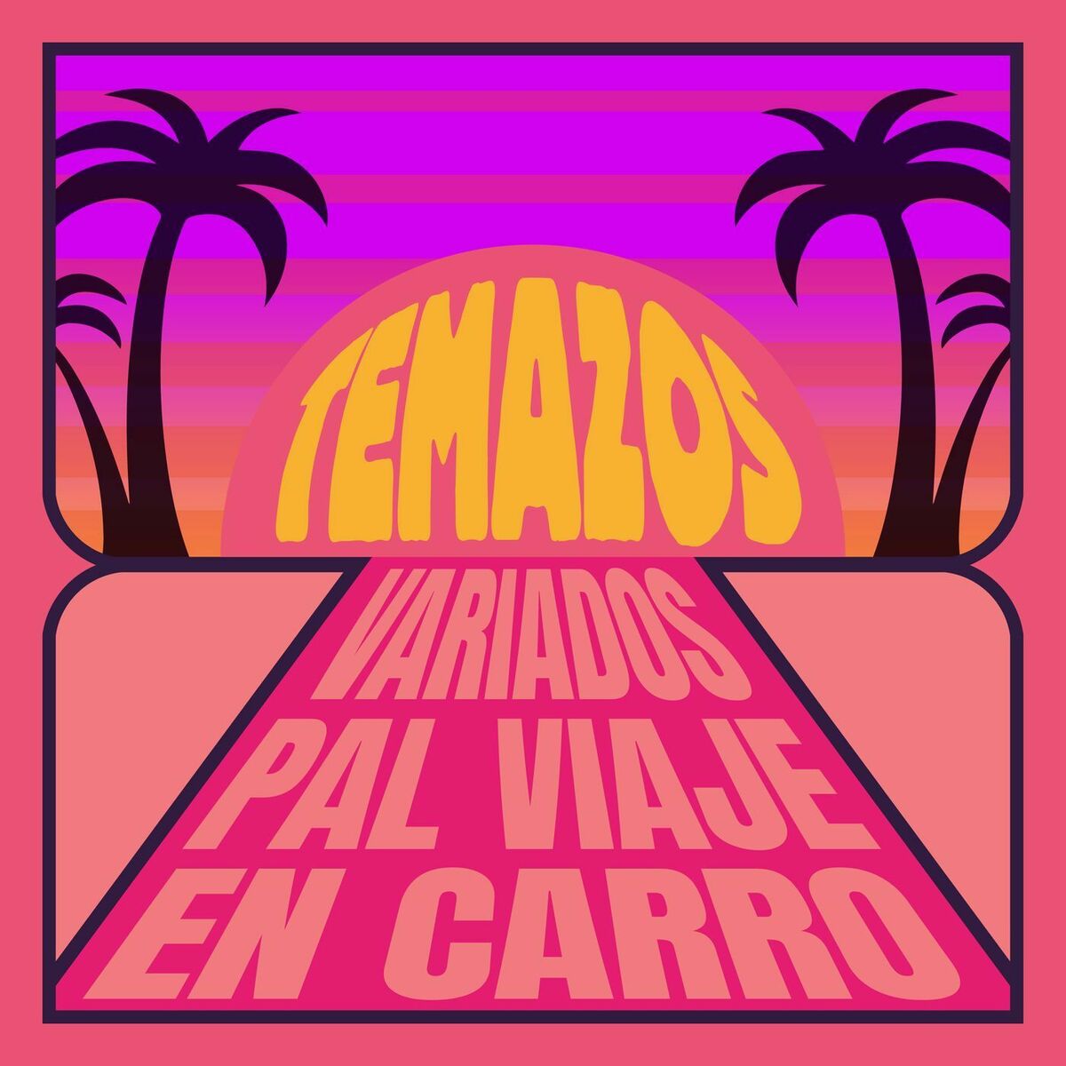 Album cover of Temazos Variados Pal Viaje En Carro