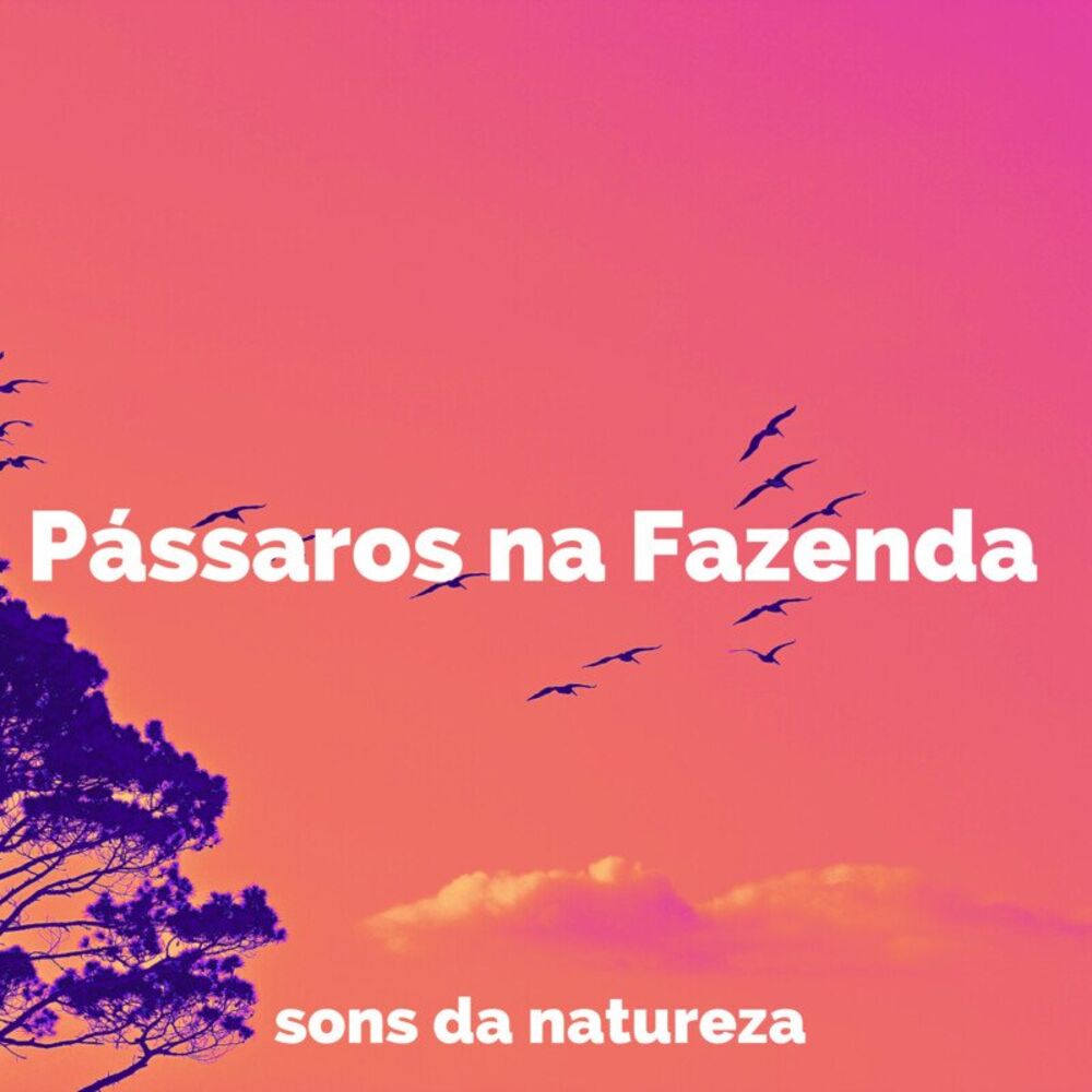 Picture of Pássaros na Fazenda