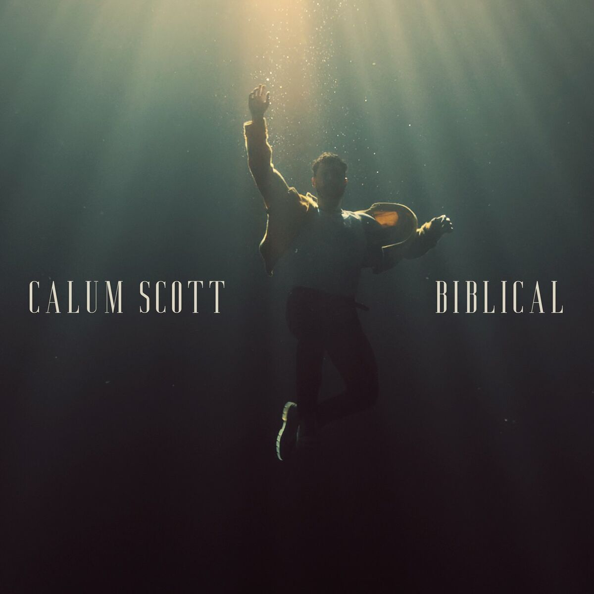 Album cover of Biblical