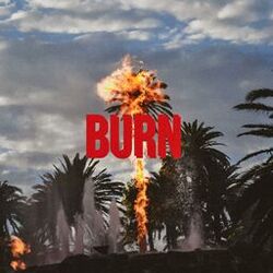 Cover of Burn