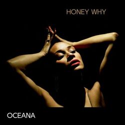 Cover of Honey Why